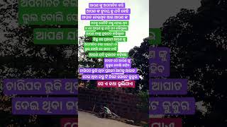 ମାଈ କୁତି ଏଠି ମଣିଷ କୁ କହୁଛି କୁକୁର #truestory,#truewordsmotivation,#truewords,#realfacts,#realstory,