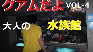 (グアム)大人の水族館と室内遊園地　VOL-4