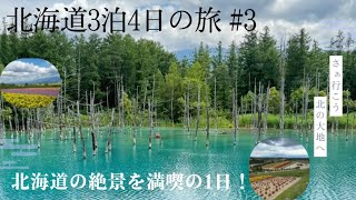 北海道3泊4日の旅 2024 #3 in美瑛,富良野