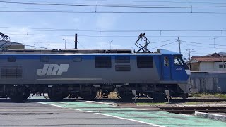 【小田踏切を通過する貨物列車】JR貨物 EF210-15号機+タキ5B+コキ5B+タキ1B 岡A21仕業[8765レ] (新鶴見行+)倉賀野行 小田踏切通過！[2023.05.09(火)]