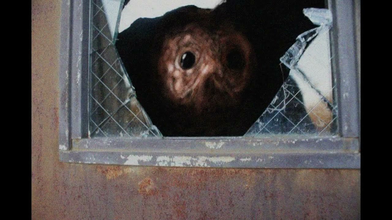 Trevor Henderson Creatures Setkery