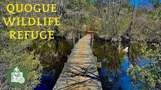 Best Parks to Hike on Long Island: Quogue Wildlife Refuge