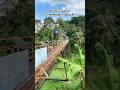 Suasana Jembatan Talang XL #pringsewu #lampung #shortvideos #fyp #viral #jembatan #talangxl