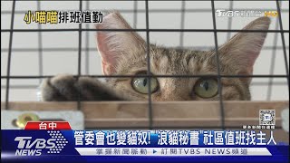 管委會也變貓奴! 「浪貓秘書」社區值班找主人｜TVBS新聞 @TVBSNEWS02