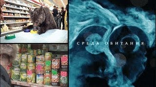 Натуральная жесть - Среда обитания | Документальный фильм