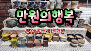 만원의행복(실용성있는)다육이화분