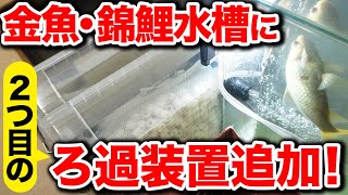 【ろ過強化】庭池の金魚・錦鯉が入った水槽に2つ目のろ過装置追加！