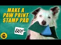 How To Make A Paw Print Stamp Pad