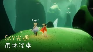 SKY光遇 |  如何到達雨林深處