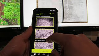 TACTACAM REVEAL -  HOW TO DELETE PICTURES ON THE TACTACAM APP ON YOUR SMART PHONE VERY QUICKLY