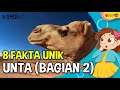 Fakta Menarik Hewan Unta, Ada yang Bisa Berenang (Bagian 2)