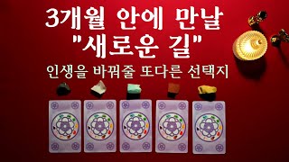 [타로카드] 3개월 안에 만날 새로운길 🧞