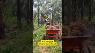 Beginilah alat canggih pengangkutan buah sawit #hutan #kebunsawit #sawit #kebunsawit #alatcanggih