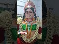 sastha pechiamman mariyamman muthusamy karupanasammy thoosimadan samy templefestival