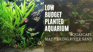 Planted aquarium made with river sand |Aquascaping made with river sand, Low budget planted aquarium