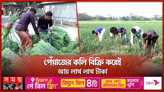 মাদারীপুরে পেঁয়াজের বাম্পার ফলন | Madaripur | Onion Cultivation| Profit | Somoy TV