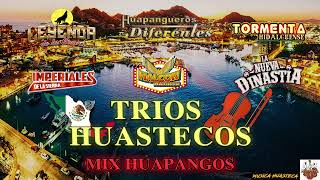 ✅Mix Tríos Huastecos Huapangos 2022🔥La Nueva Dinastia, Halcon Huasteco, Huapangueros Diferentes