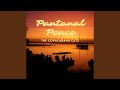 Samba of the Pantanal