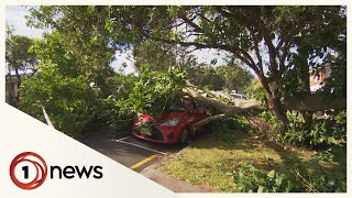 Chaos as Cyclone Dovi blows powerful winds across the country