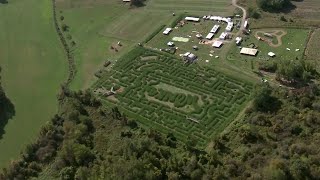 EyeOpener team pairs off, takes on Davis Mega Maze