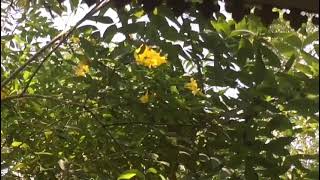 Enjoy the rhythm of nature - പ്രകൃതി യുടെ ജീവ  താളം