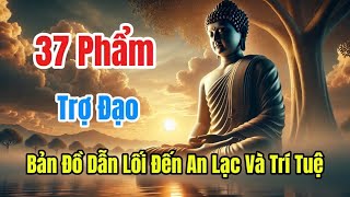 37 Phẩm Trợ Đạo #phậtgiáo #loiphatday #phatgiao