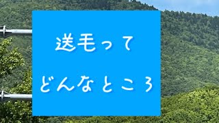 送毛ってどんなところ