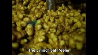 Ginger Washing and Peeling System (생강 세척,탈피 시스템)