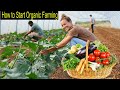 Organic Farming - How to Start Business Organic Farming - Organic Production Step by Step