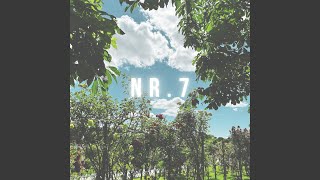 Nr. 7