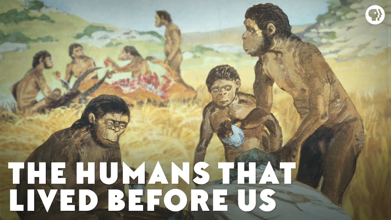 The Humans That Lived Before Us - YouTube