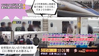 【2024年勤労感謝の日・下り方面の遅れが増大しまくりで混雑!!】のぞみ9号京都駅車両確認で遅れが50分以上で自由席大混雑⚠️乗降に時間を要し遅れ拡大し更に上り列車も岡山駅急病人対応でダイヤ乱れ発生！