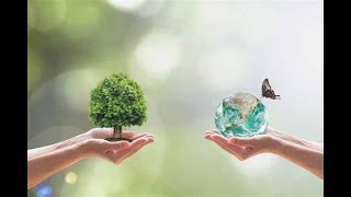 了解 Environmental Greening 环境绿化 (3分钟微学习)