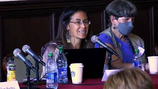 Panel 4: Structural Racism in the US concluding panel