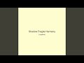 Shadow Fragile Harmony