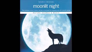 Nature's Creation Collection: Moonlit Night - Tony Braasch