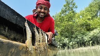 সুন্দরবনের ইতিহাসে আমরাই প্রথম, টাইগার চিংড়ির চার দিয়ে প্রচুর মাছ ধরে দেখালাম!!!