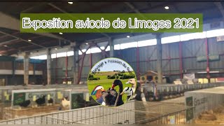 Exposition avicole de Limoge 2021