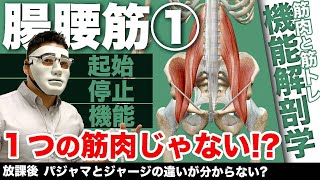 『腸腰筋1！三つの筋肉で腸腰筋？』CHICKEN HEART TV vol.159座学