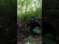 ABANDONED SCOTTISH HISTORY 🏴󠁧󠁢󠁳󠁣󠁴󠁿 Hidden Under WILD Forest