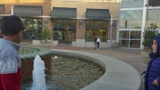 Augusta Mall 2/11/2017