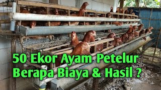 50 Ekor Ayam Petelur. Berapa Biaya \u0026 Hasil ?