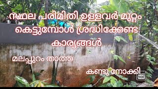 സ്ഥല പരിമിതി ഉള്ളവർ മുറ്റം കെട്ടുമ്പോൾ ശ്രദ്ധിക്കേണ്ട കാര്യങ്ങൾ