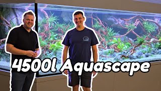 XXL-Aquarium Aquascaping! 4500l-Amazonasbecken mit Adrie Baumann einrichten