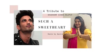 Sweetheart - Kedarnath | By Apurva Gulati | Sushant Singh Rajput | Sara Ali Khan | Zee Music Company