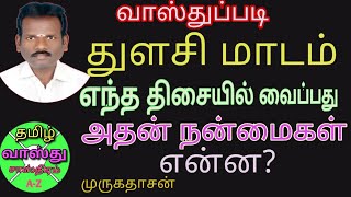 துளசி செடி வீட்டில் எங்கே வைப்பது/thulasi madam vastu/துளசி மாடம் பயன்கள்