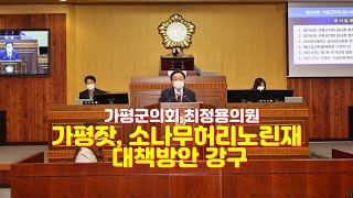 가평군의회 최정용의원 , 5분자유발언 통해 소나무허리노린재대책 강구