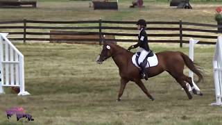 Amun Coleman; Caber Farm Horse Trials August 2019