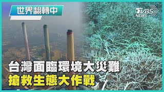 「極端天氣 環境災難」台灣搶救生態危機【世界翻轉中】完整版 20221015