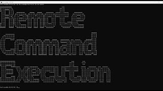 [004] Remote Command Execution